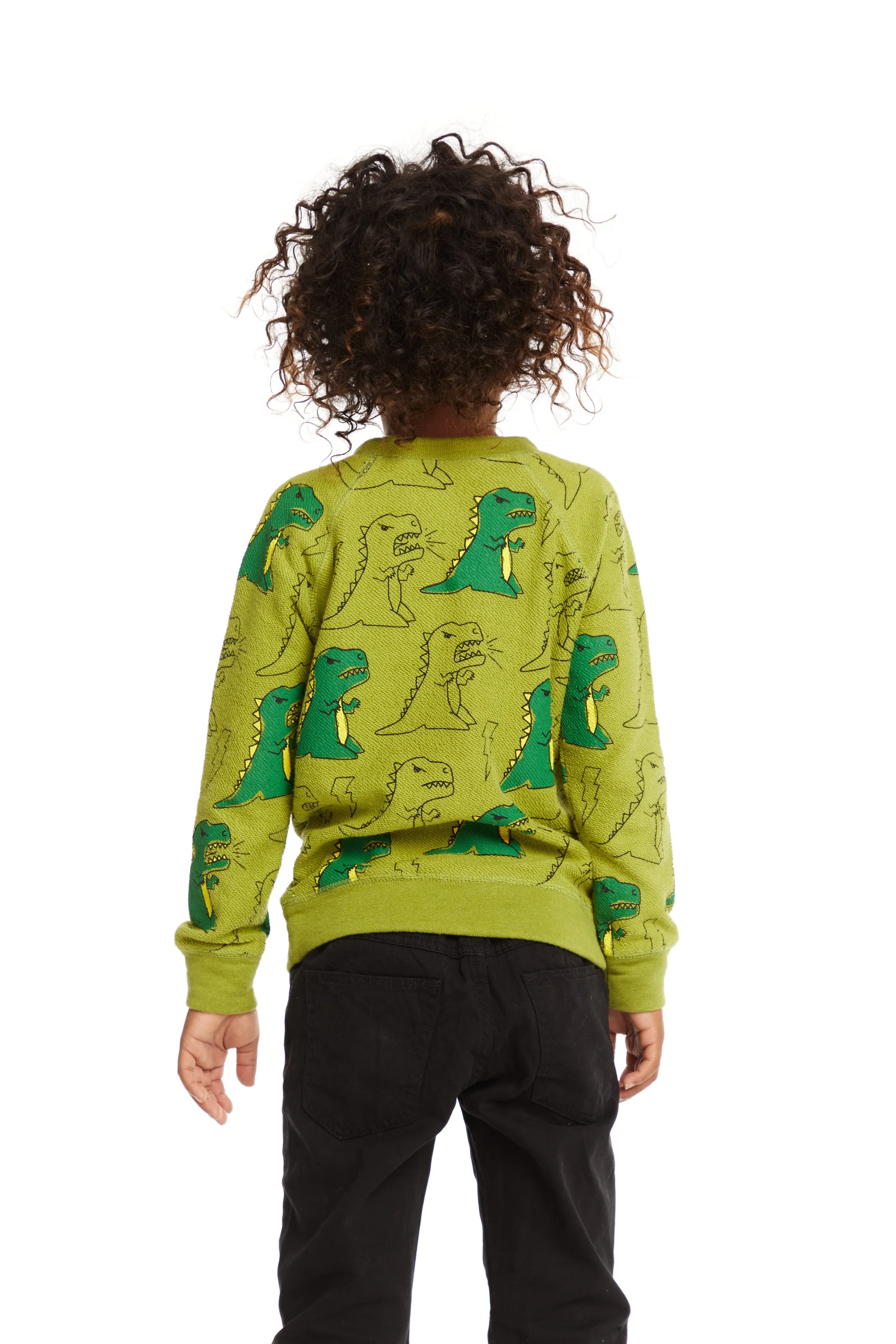 Chaser Dinos Green Pullover