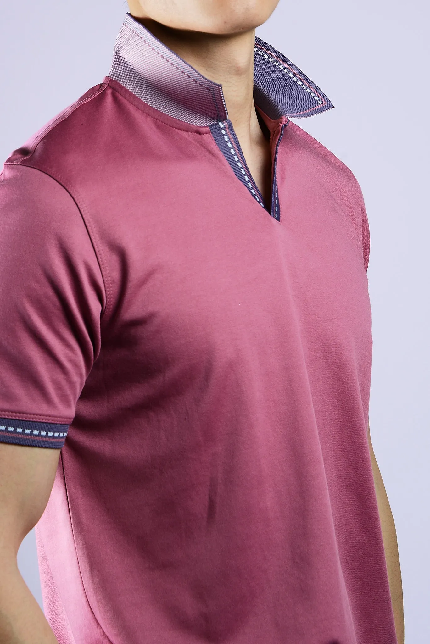 DT Euro Stripe Collar Merc Polo