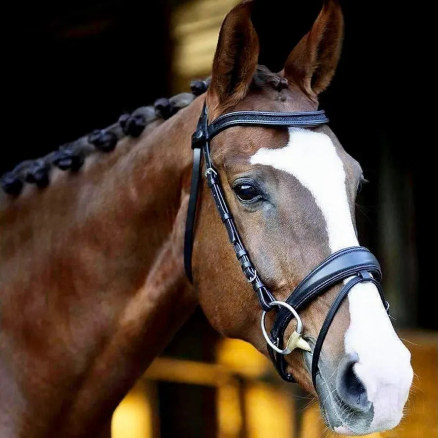 Natalia Snaffle Bridle - Black Leather