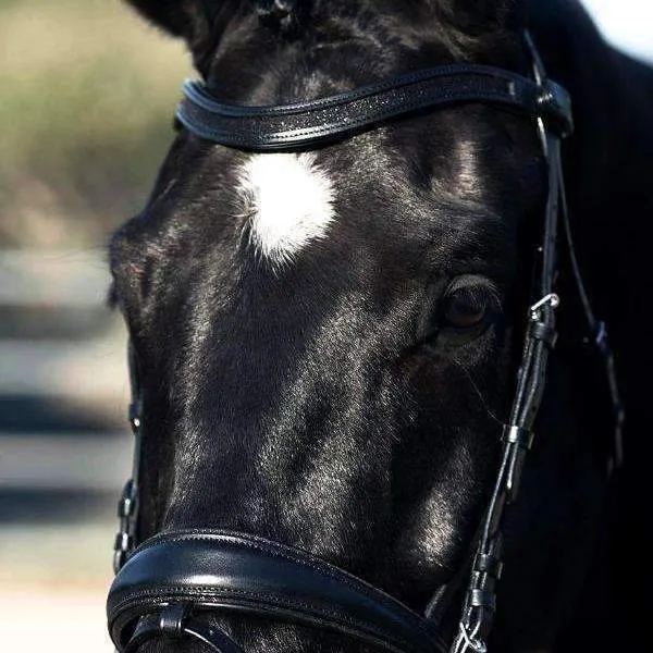 Natalia Snaffle Bridle - Black Leather