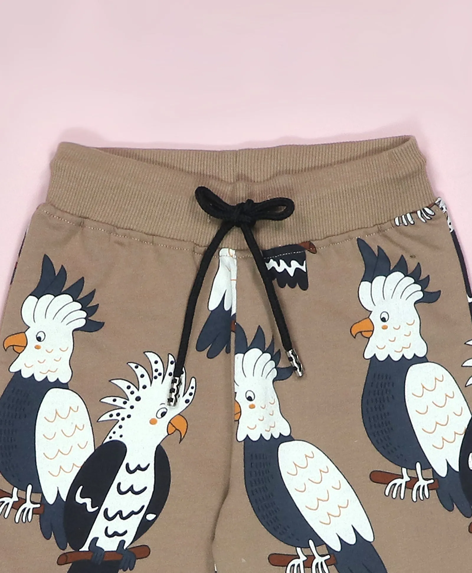 Parrot Print Kids Sweatshirt & Joggers Set