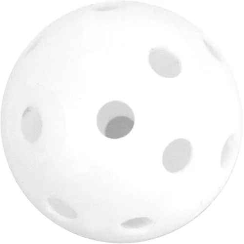 Ray Cook Golf Plastic Practice Balls (24 Pack)