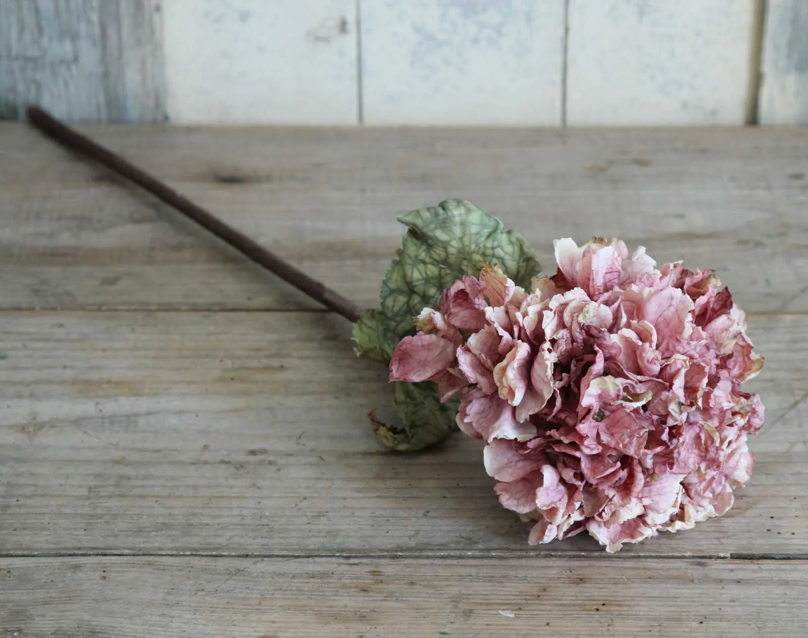 Silk Flower - Dried Hydrangea - Dusty Pink