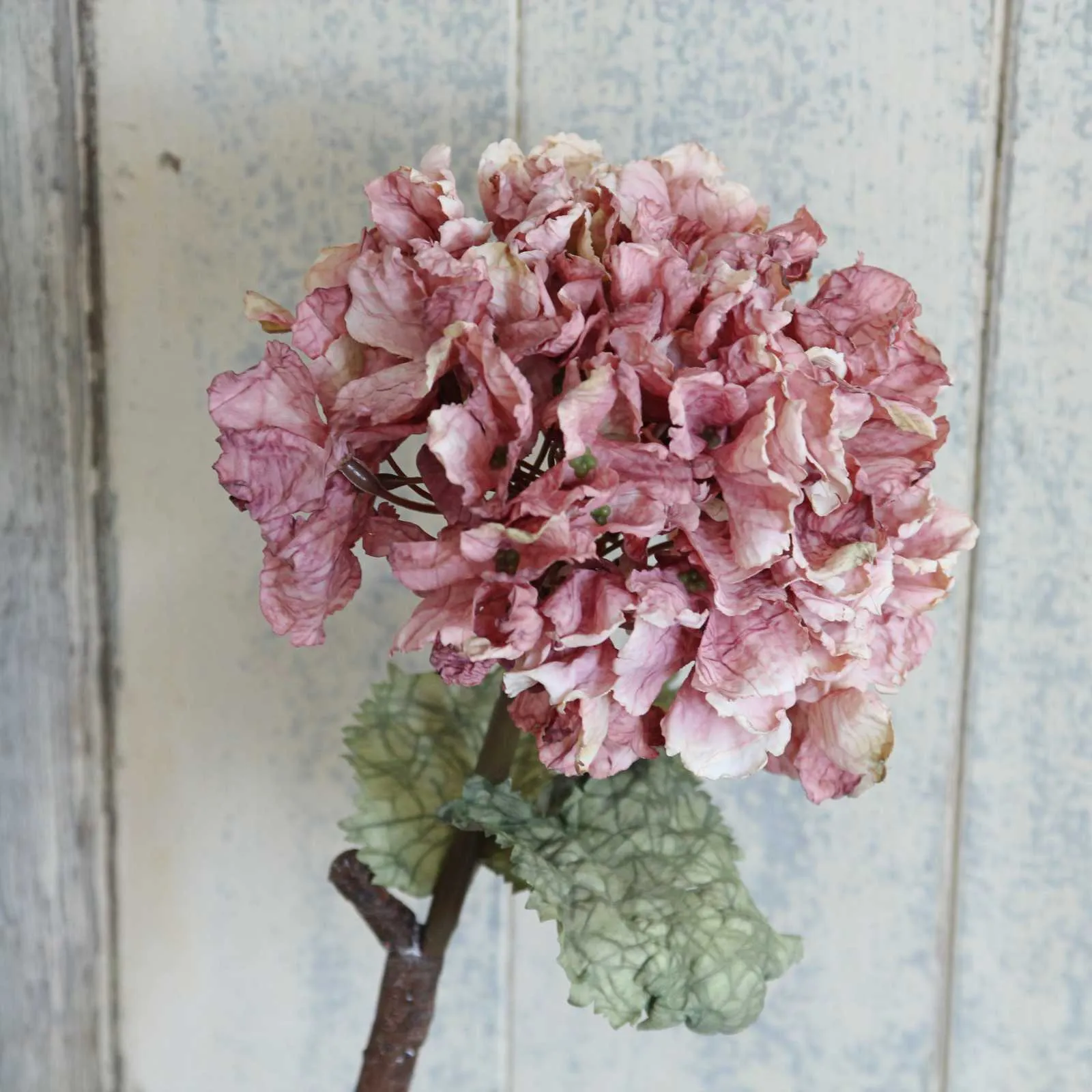 Silk Flower - Dried Hydrangea - Dusty Pink