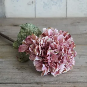 Silk Flower - Dried Hydrangea - Dusty Pink